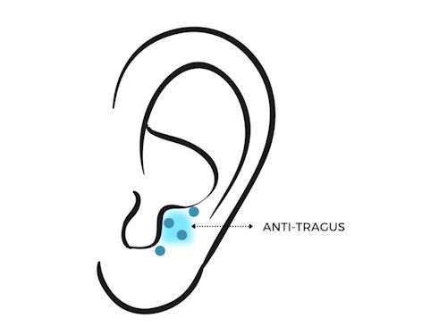 auriculotherapy anti tragus point