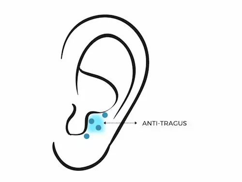 auriculotherapy anti tragus point