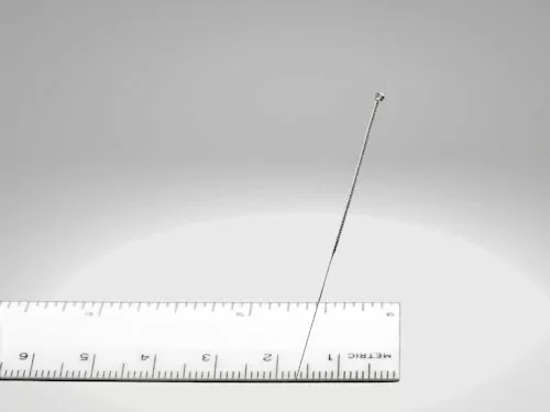 Showing the width of an acupuncture needle